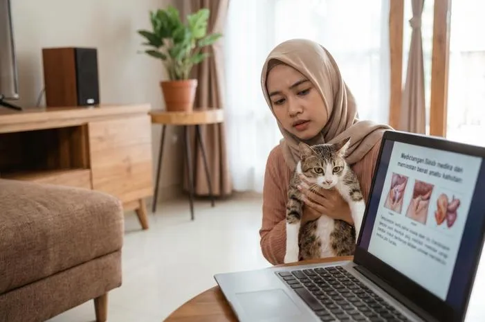 FIP Kucing: Kenali Ciri, Sebab, Solusi Penyakitnya