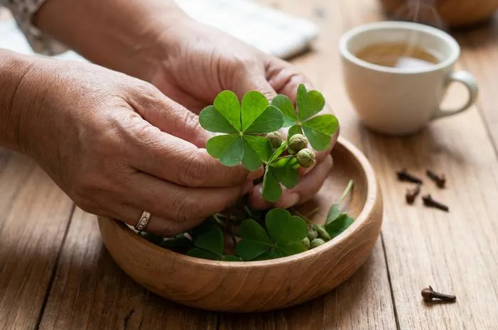 Buah Semanggi: Kaya Manfaat, Lezatnya Bikin Nagih Pecel