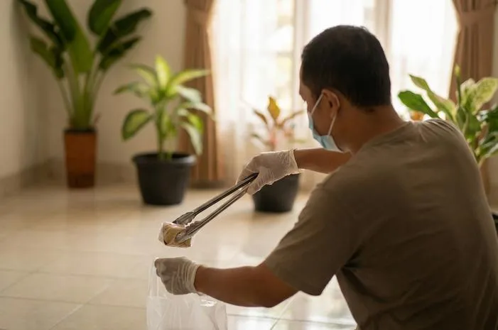 Bangkai Tikus Bikin Bau? Atasi Cepat Tuntas!