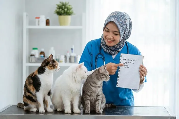 Nama Kucing Betina Berdasarkan Warna: Unik dan Cantik