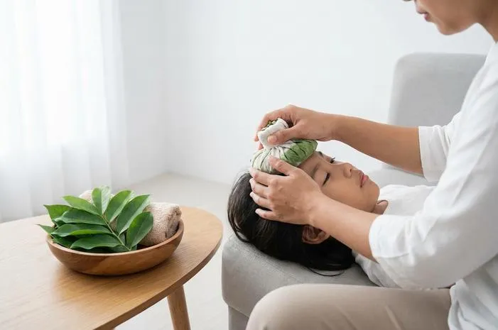 Daun Dadap Serep Untuk Kompres Demam dan Pegal