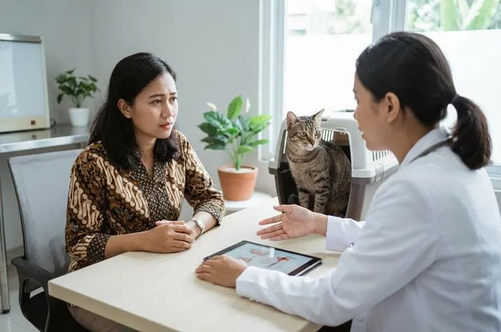 Kucing Jantan Birahi: Gejala Mudah Dikenali dan Diatasi