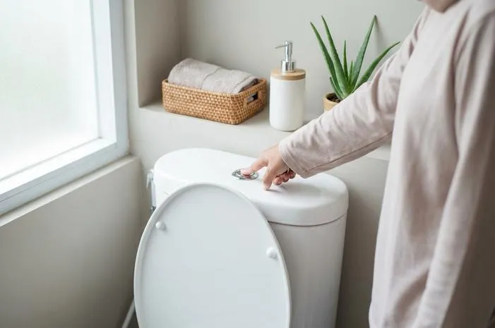 Cara Menggunakan WC Duduk: Jangan Salah Posisi!