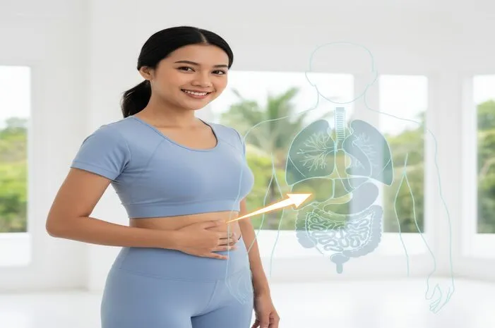 Diafragma: Sekat Rongga Dada dan Perut, Otot Utama