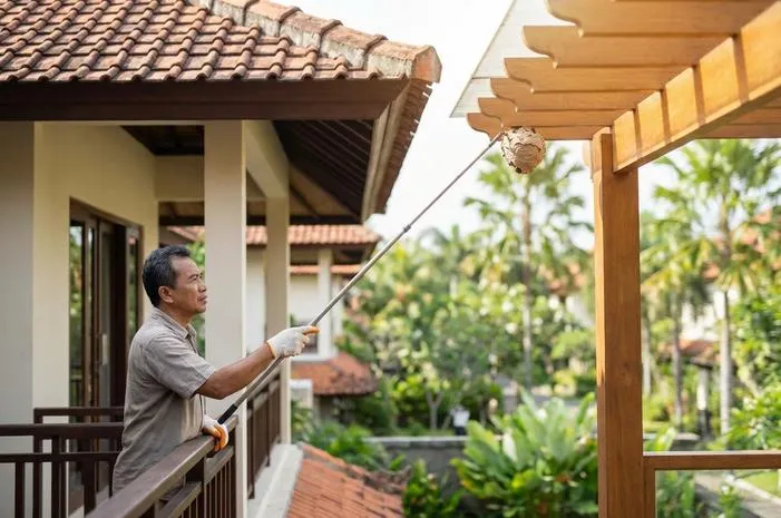 Cara Usir Sarang Tawon di Atap Rumah: Dijamin Aman Tuntas