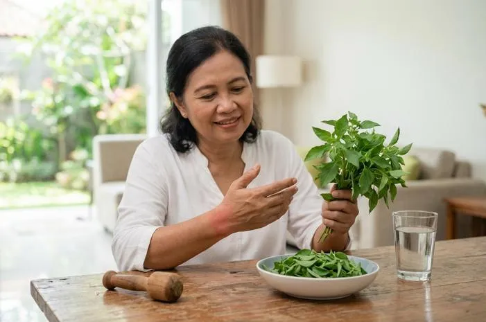 Manfaat Daun Kemangi Untuk Asam Urat Dan Cara Mengolahnya