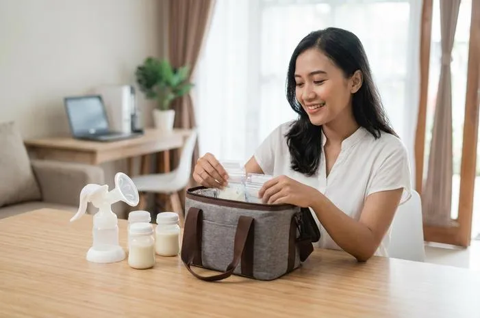 Tas ASI Praktis Agar ASIP Selalu Segar Saat Bepergian