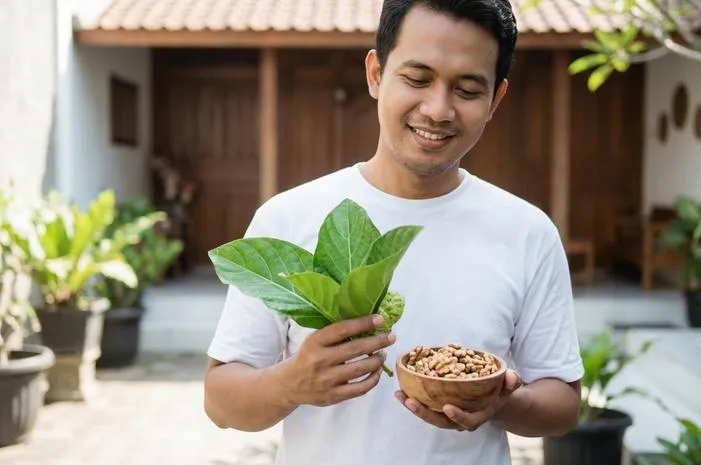 Manfaat Daun Mengkudu untuk Kenari: Gacor, Sehat, Subur