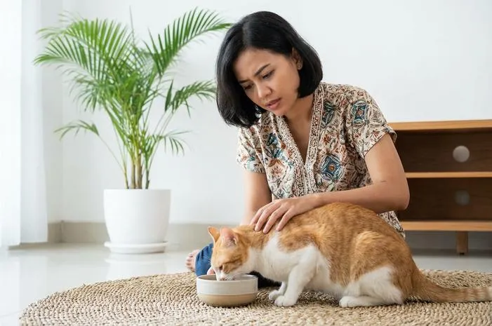 Kucing Mencret Masih Mau Makan: Atasi Diare Ringan Ini