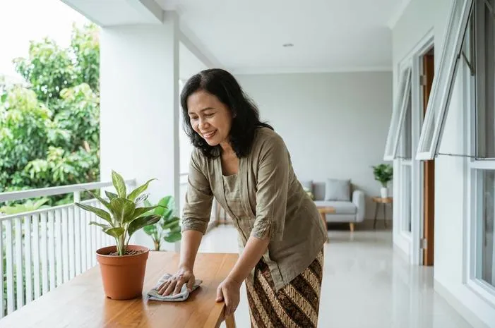 Manfaat Lidah Mertua: Udara Sehat dan Rumah Nyaman