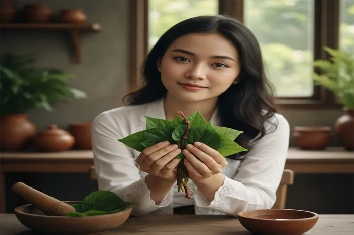 Daun Sirih Temu Ros untuk Apa? Cek Segudang Khasiatnya