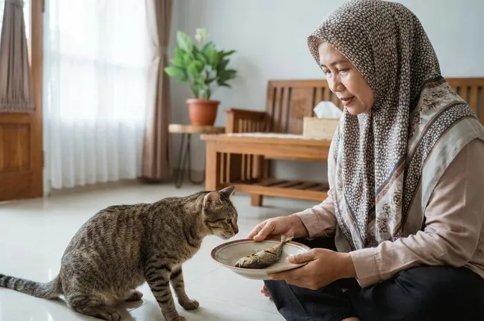 Bolehkah Kucing Makan Ikan? Ini Cara Aman dan Sehat