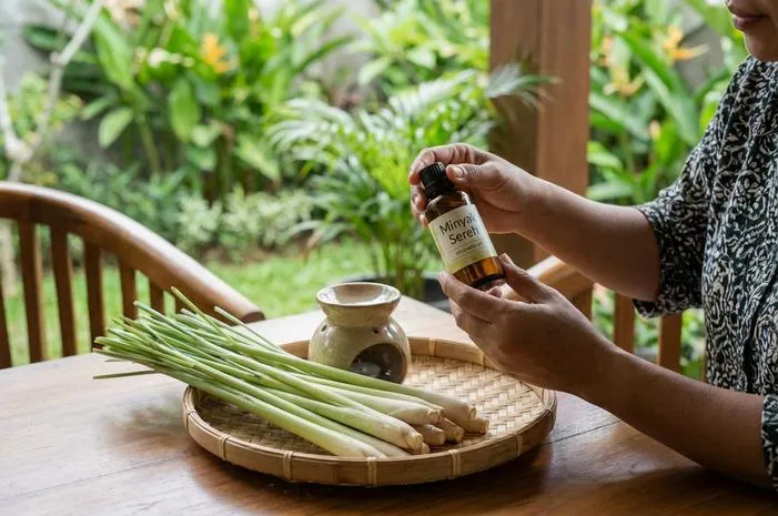 Citronella Oil: Pengusir Nyamuk Alami, Atasi Nyeri