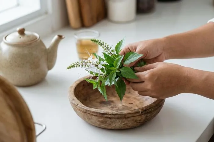 Kumis Kucing Obat untuk Apa: Atasi Batu Ginjal dan Asam Urat