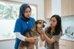 Kenali Berbagai Gejala Demam pada Anjing