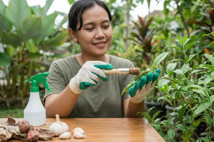 Cara Mengusir Ulat Bulu: Dijamin Langsung Minggat!