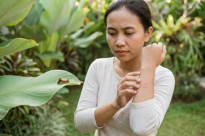 Ulat Bajra: Beracunkah atau Aman untuk Pakan?