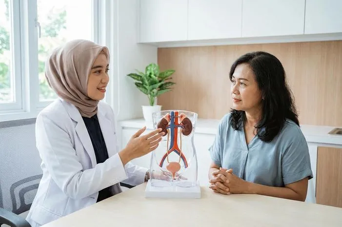 Pahami Rangkuman Sistem Ekskresi Tubuhmu Yuk!