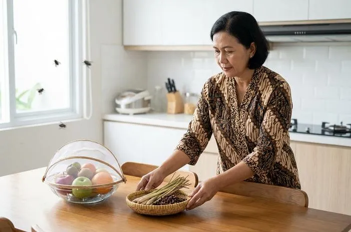 Obat Pengusir Lalat Ampuh, Ada Pilihan Alami dan Kimiawi