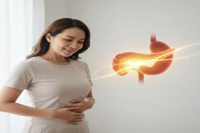 Hormon Insulin Dihasilkan Oleh: Intip Kerja Pankreas