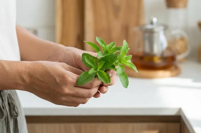 Daun Stevia: Pemanis Alami Nol Kalori Pengganti Gula Sehat
