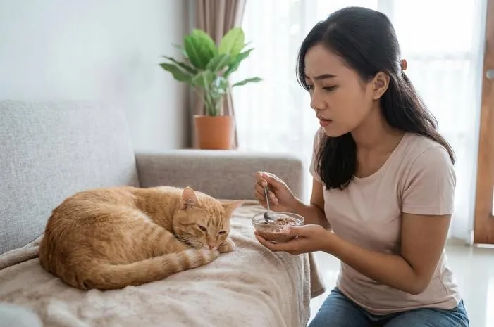 Kucingku Tak Mau Makan dan Tidur Terus? Yuk, Atasi!
