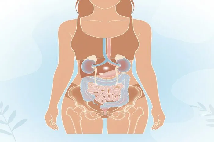 Di Mana Letak Saluran Kencing Wanita? Ini Jawabannya