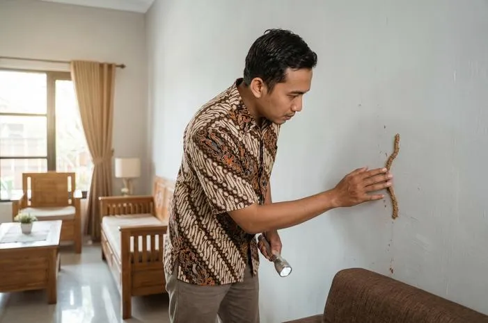 Cara Menghilangkan Rayap di Tembok Pasti Berhasil