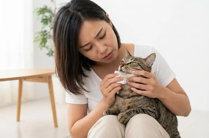 Mulut Kucing Berlendir: Normal atau Perlu ke Dokter?