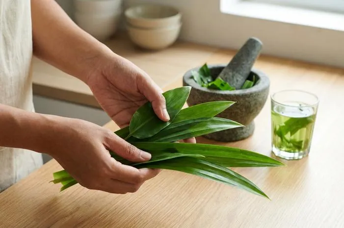 Daun Suji dan Daun Pandan: Beda Warna, Beda Aroma