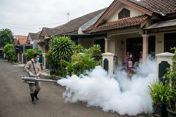 Arti Fogging Lengkap: Basmi Nyamuk, Amankah untuk Kita?