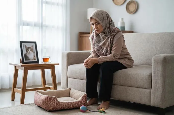 Kenapa Kucing Mati Mendadak? Ini Jawabannya