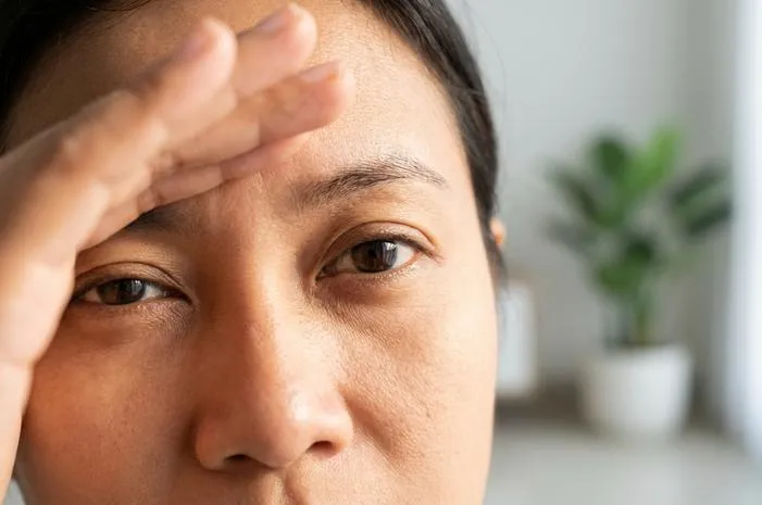 Bagian Mata Pengatur Cahaya Masuk: Kenali Fungsinya