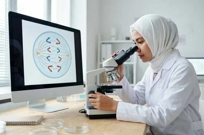 Tahap Anafase: Kromatid Pisah, Demi Sel Akurat