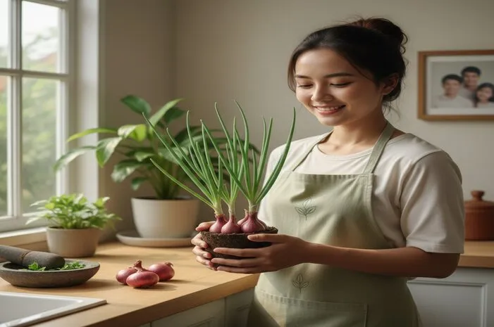 Tips Sukses Budidaya Tanaman Bawang Bombay Anti Gagal