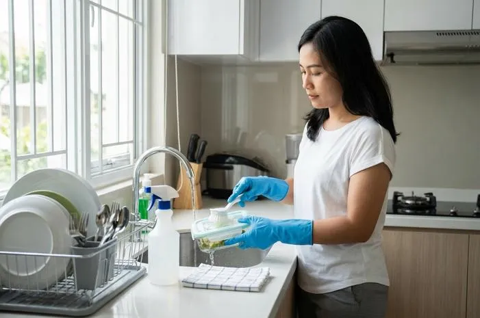 Mudah! Cara Bersihkan Makanan Bekas Tikus Aman