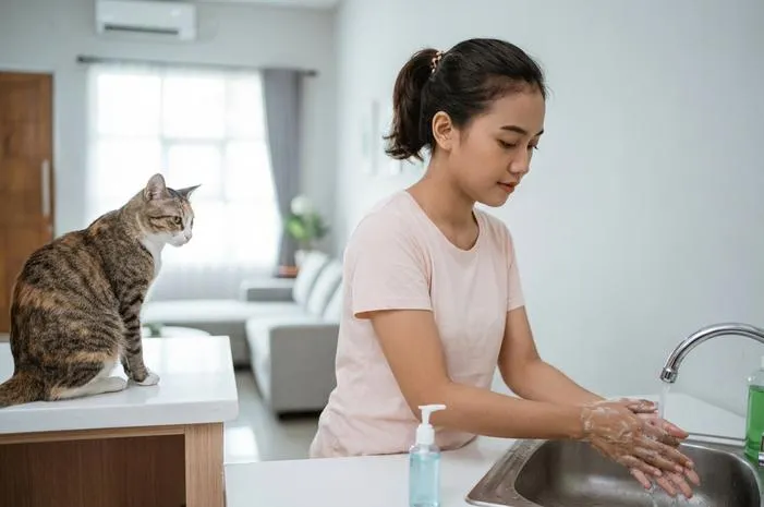 Virus Kucing Menular ke Manusia? Ini yang Perlu Tahu