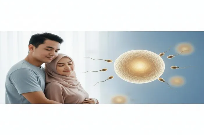 Cepatnya Pembuahan Sel Telur oleh Sperma: Berapa Lama?