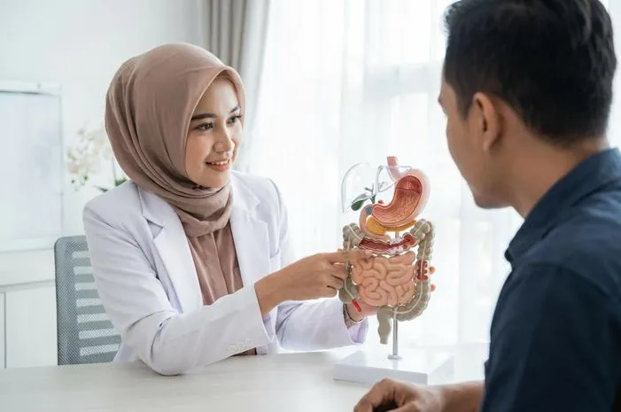 Apa Saja Bagian Usus? Yuk Kenali Perannya
