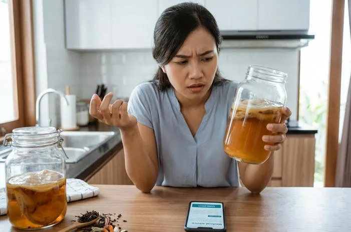 Awas! Bahaya Jamur Teh Kombucha Jika Tak Hati-hati