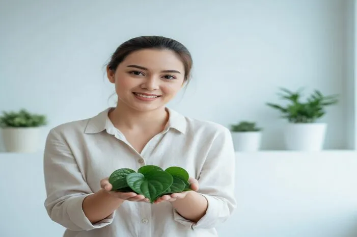 Daun Sirih Hijau: Rahasia Sehat Alami Multimanfaat