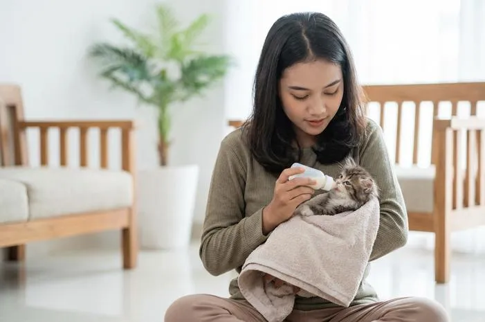 Cara Merawat Anak Kucing: Mudah dan Dijamin Anti Ribet