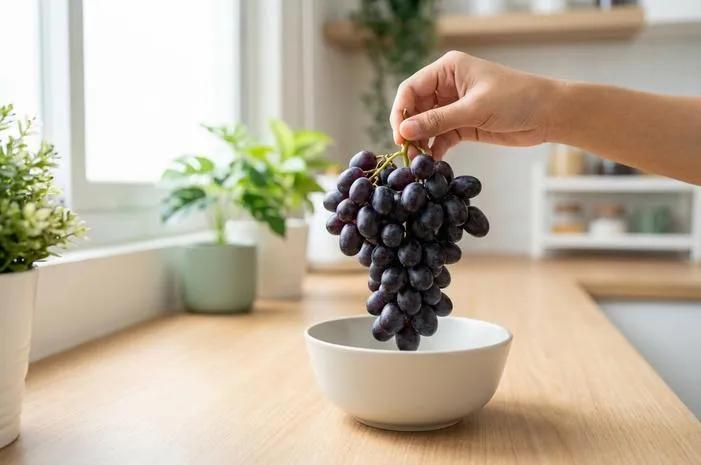 Anggur Black Autumn: Manis, Renyah, Sehat Tanpa Biji