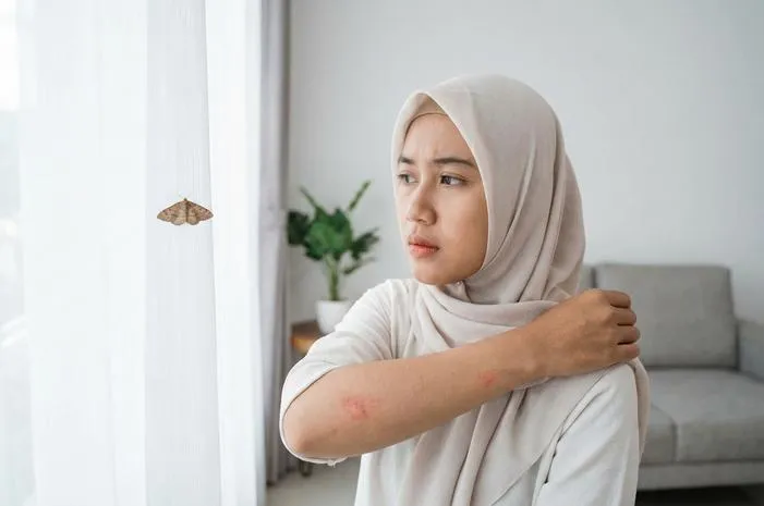 Bikin Gatal? Cara Mudah Basmi Ngengat Kecil di Rumah