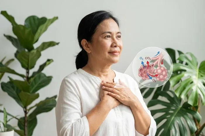 Alveolus Berfungsi Efisien dalam Pertukaran Gas