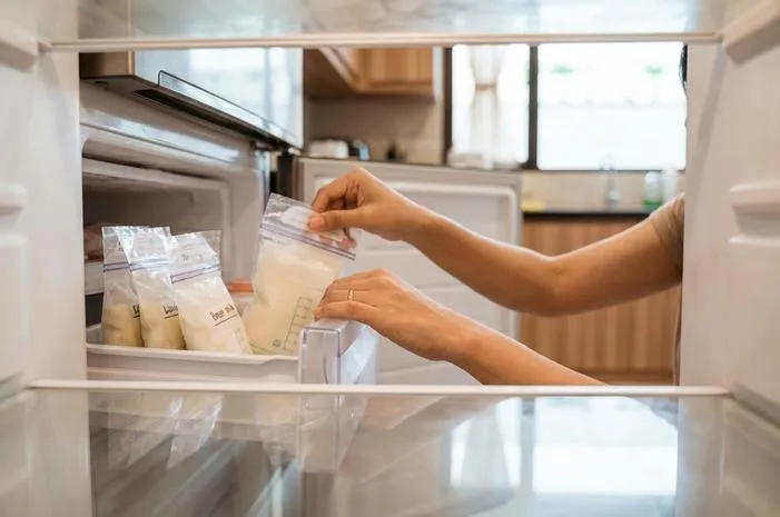 Asip dari Freezer ke Chiller Tahan Berapa Lama? 24 Jam Usai Cair!