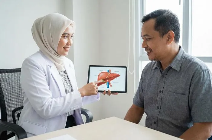 Mengenal Struktur Organ Hati: Dari Lobus Hingga Pembuluh