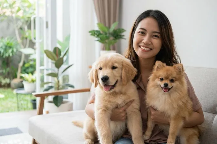 Anjing Terlucu di Dunia: Ini 6 Ras Paling Menggemaskan