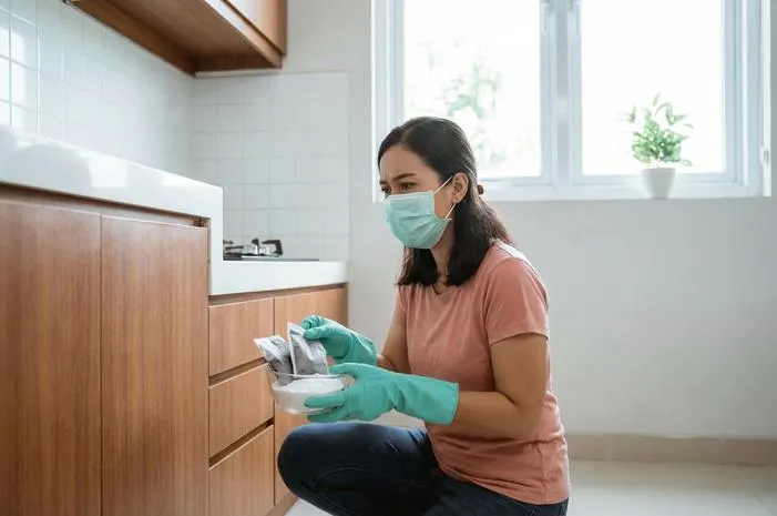 Cara Mudah Menghilangkan Bau Bangkai Tikus Cepat