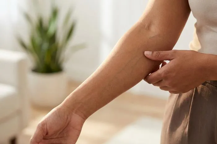 Pembuluh Darah Kecil: Penting Bagi Tubuh, Kenali Penyakitnya